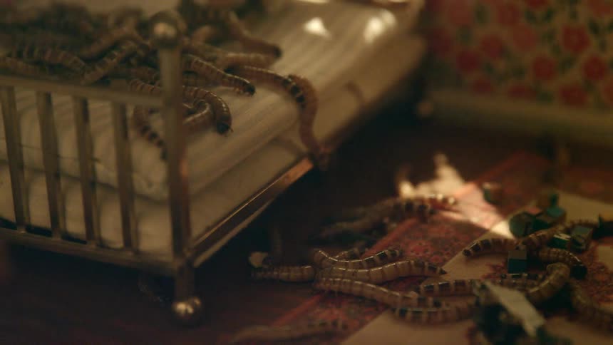 Dozens of worms wiggle on a bed and rug in a dollhouse bedroom