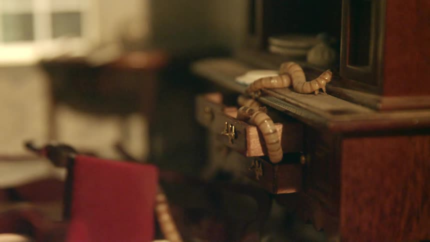 Insects larvae on a tiny chest of drawers in a miniature house set