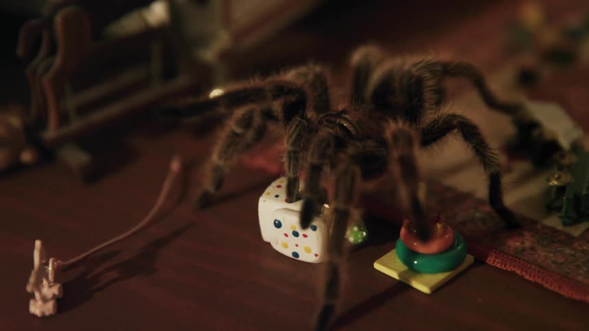 A large spider crawls through a doll house as a light swings overhead