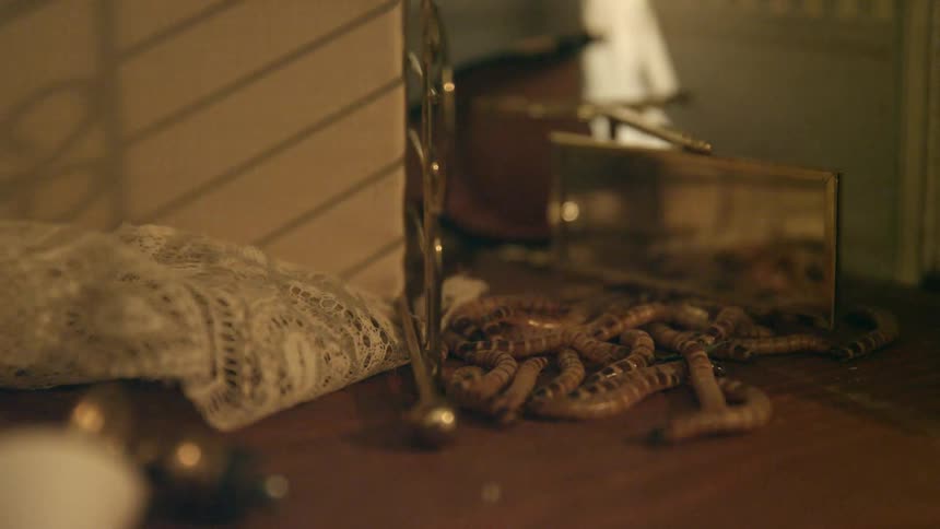 A room with mealworms on the floor