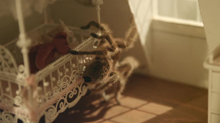 Tarantula crawling out of crib
