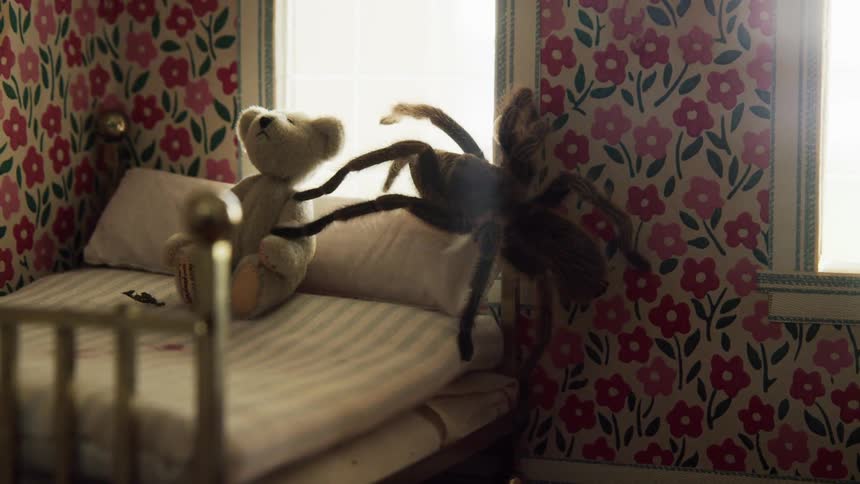 Tarantula walking around in a doll house on a small stuffed bear