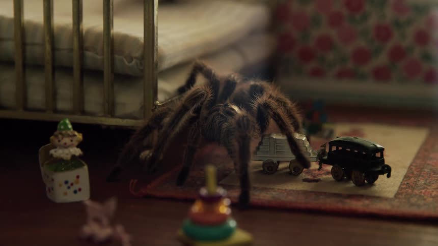 A spider crawls across toys on the floor