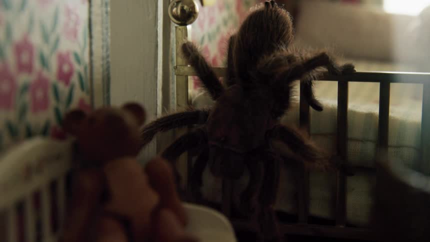 Tarantula crawls over miniature bed in dollhouse