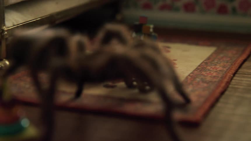 A tarantula walking in a room with toys