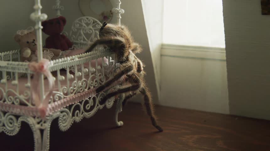 Giant tarantula crawls out of crib on to the bedroom floor