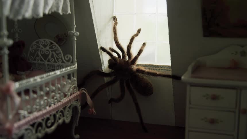 A spider crawling on a window in a dollhouse