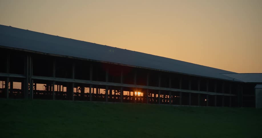 Large livestock facility on top of a grass hill in front of a sunset