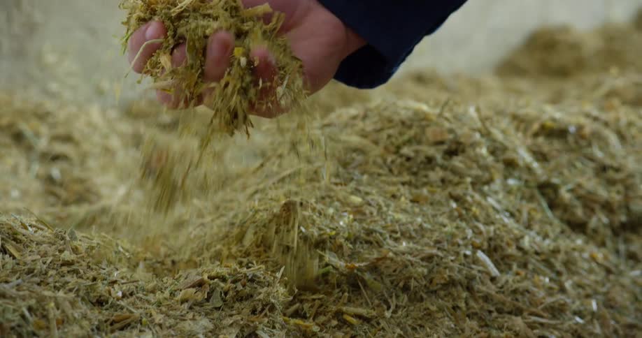Hand reaching into a pile of compost picking it up and sprinkling it back down