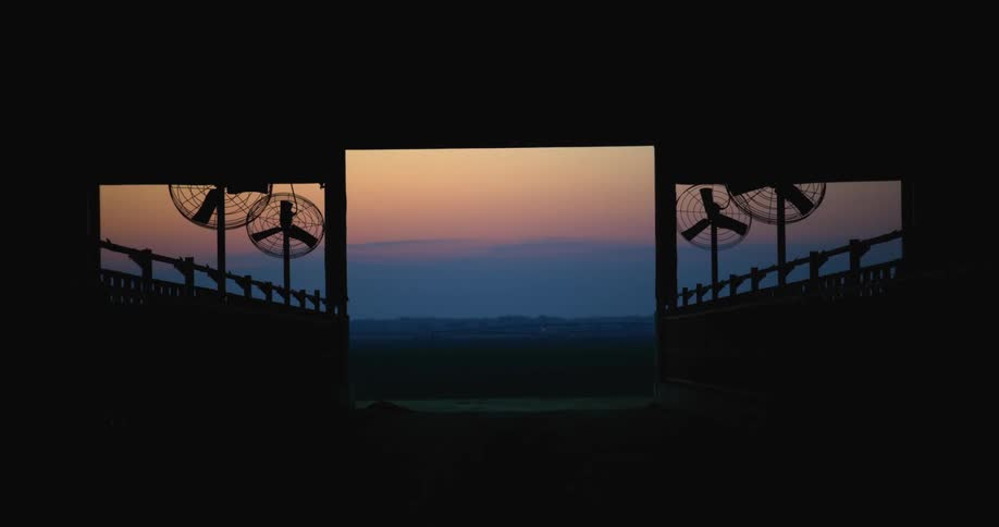 Dairy farm at sunrise