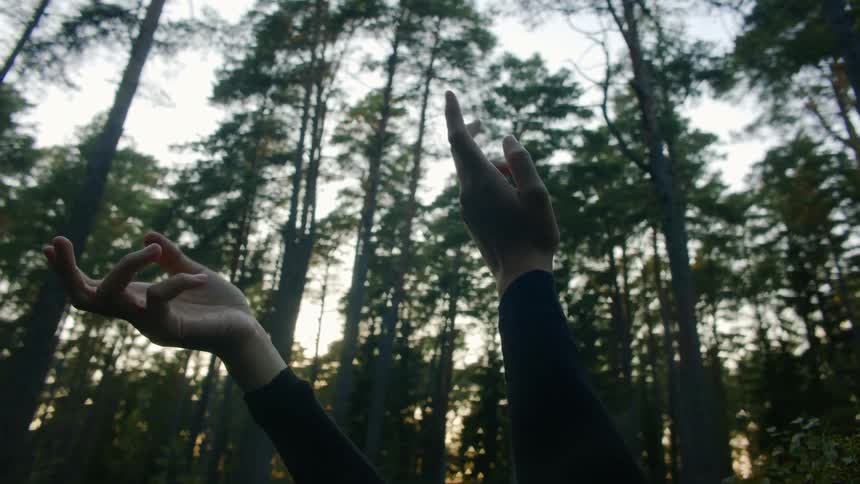 Womans hands moving upwards towards the sky in a forest