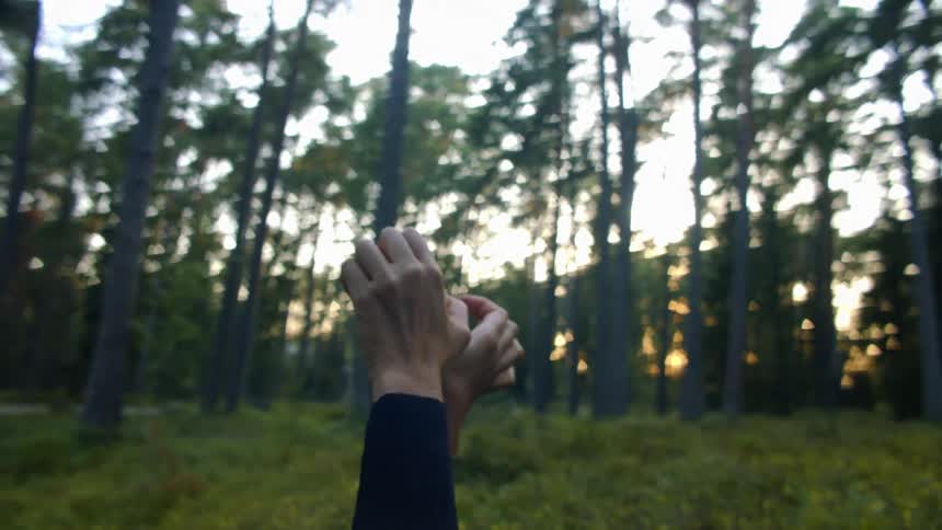 Hands raised making gestures in a grassy field with trees in background
