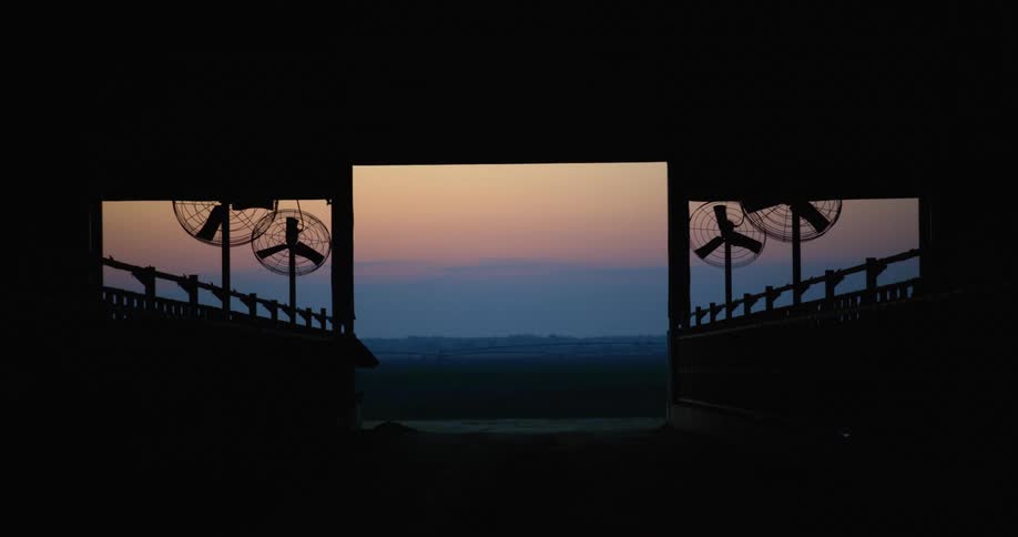 A dairy farm at sunrise