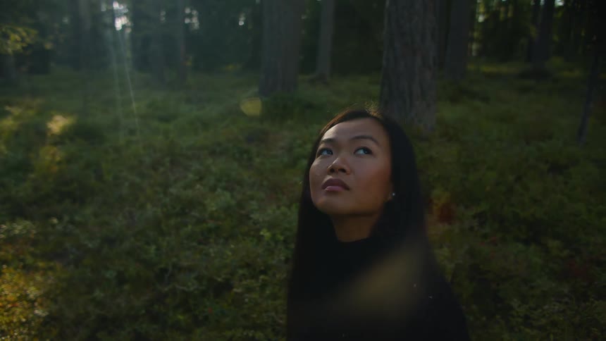 A woman looks up as beams of sunlight shine through dense trees in a forest