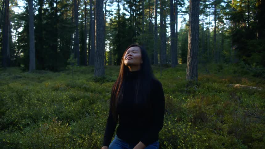 Woman sitting in a grass field in a grove full of trees looking up at the sky