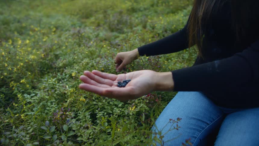 A woman sits outside picking berries and placing them in her hand