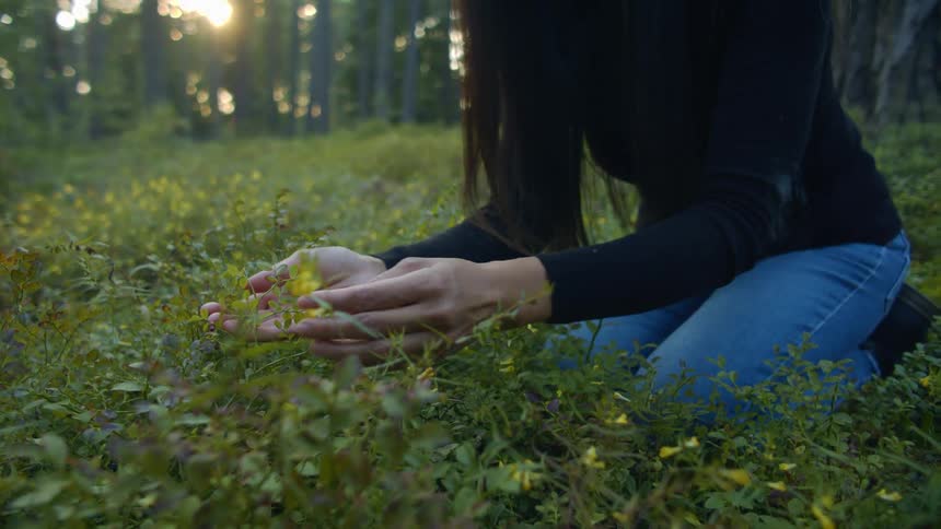 A woman sits on the ground of a forest touching flowers with her hands