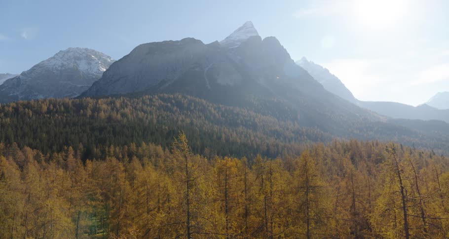 Wide mountain range horizon view with a forest full of trees