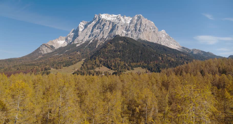 Trees are surrounding the mountain