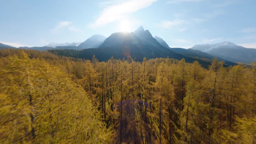 Aerial view of autumn woods and the sun shining brightly behind the mountains