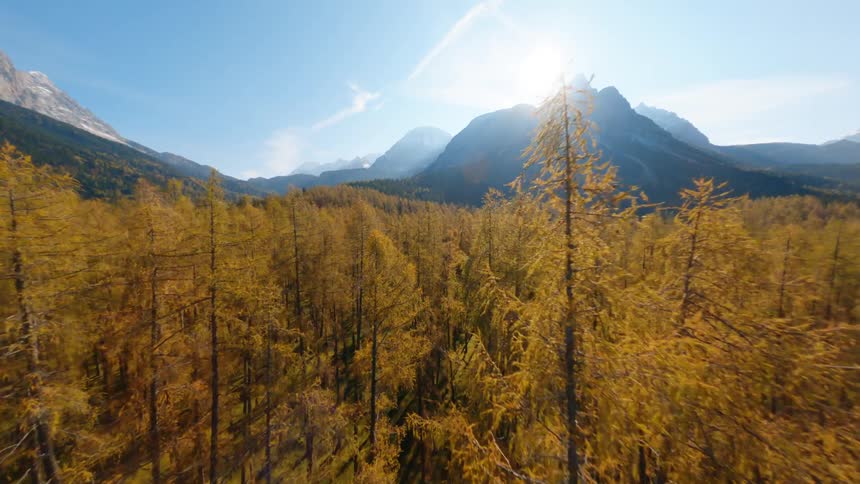 A forest full of tall trees surround a range of mountains under a sunny sky