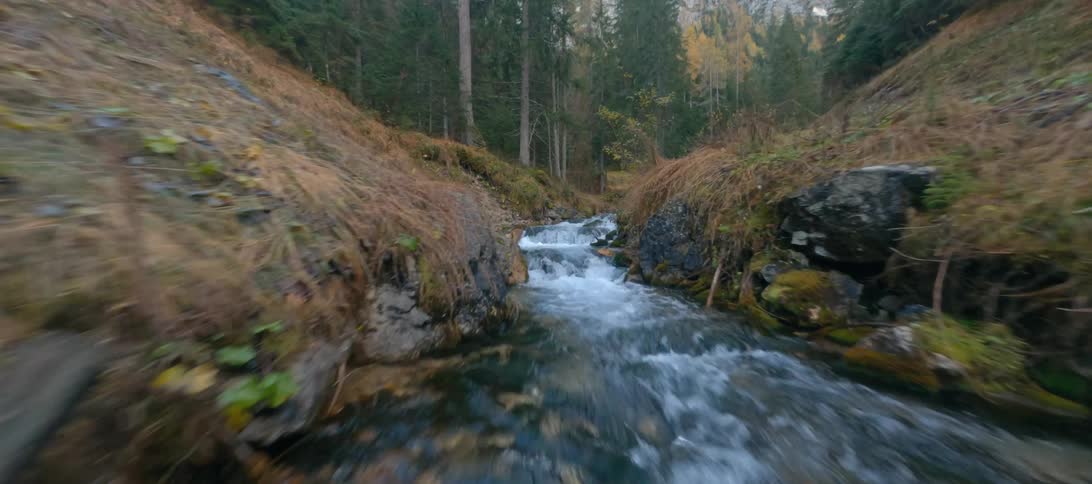 Rushing water pouring down a small river in a forest