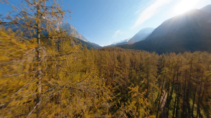 While flying past the tops of tall frees in a forest a mountain range towers above