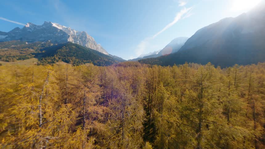 A vast woodland at the base of a snow capped mountain range on a sunny day