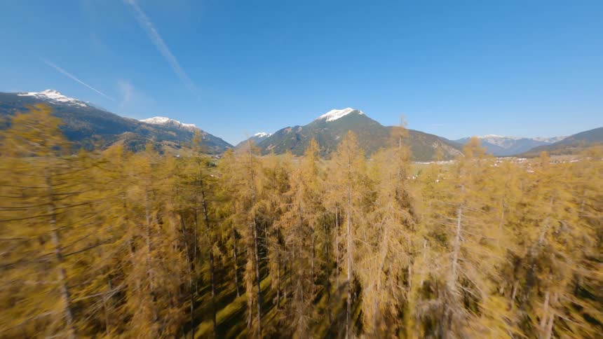Aerial view of a large area of land covered with autumn trees and plants with mountains in the background