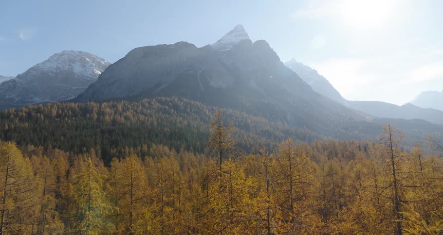 Aerial view of autumn woods and the sun shining brightly behind the mountains