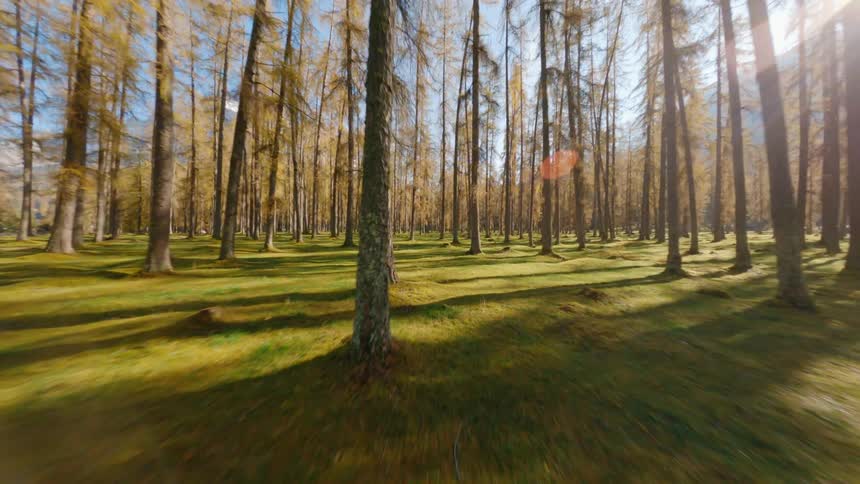 A forest with trees with a mountain range the sky and clouds in the background