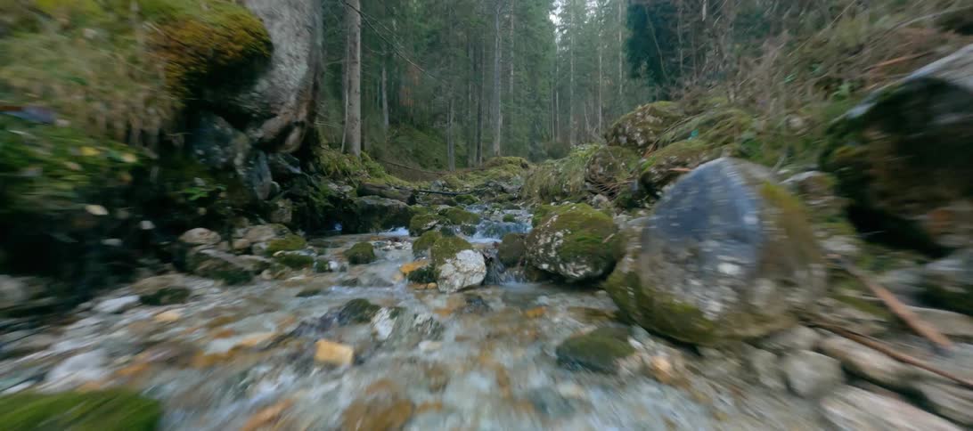 A stream in the woods with trees the sky and clouds in the background