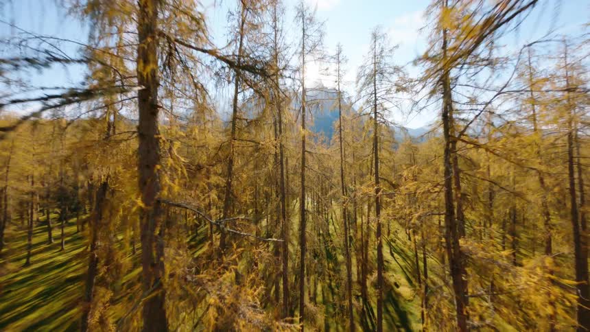 The sun shines on mountains and the forest near it