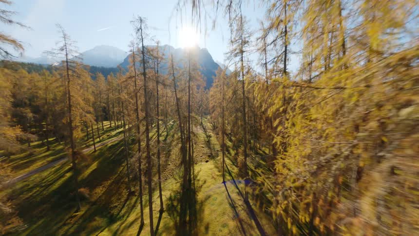 Aerial mountain range and forest on a sunny day