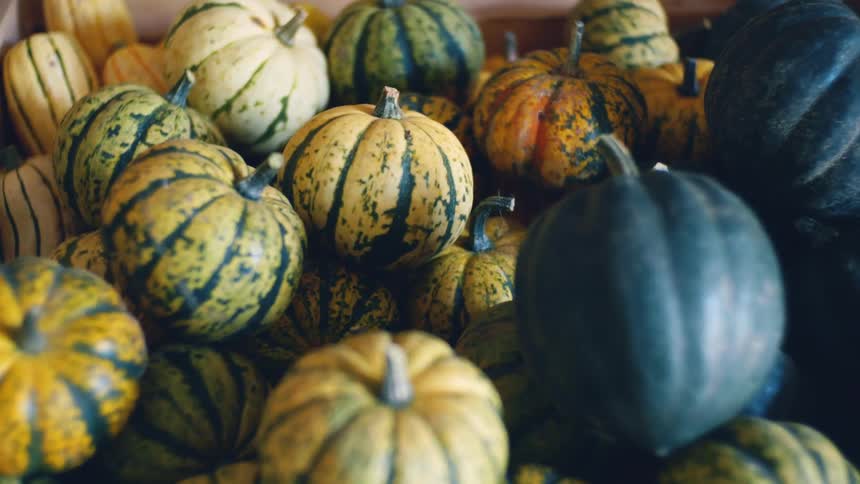 A pile of varying colors of squash in a box