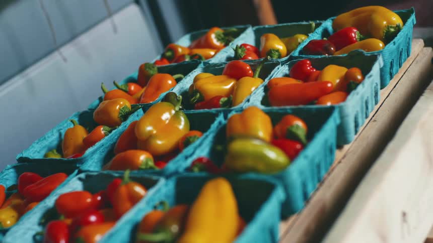 Bell peppers and chili peppers placed in blue cartons and neatly arranged in a 3x5 grid on a table