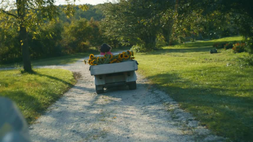 A woman drives a cart filled with sunflowers down a gravel road in the countryside