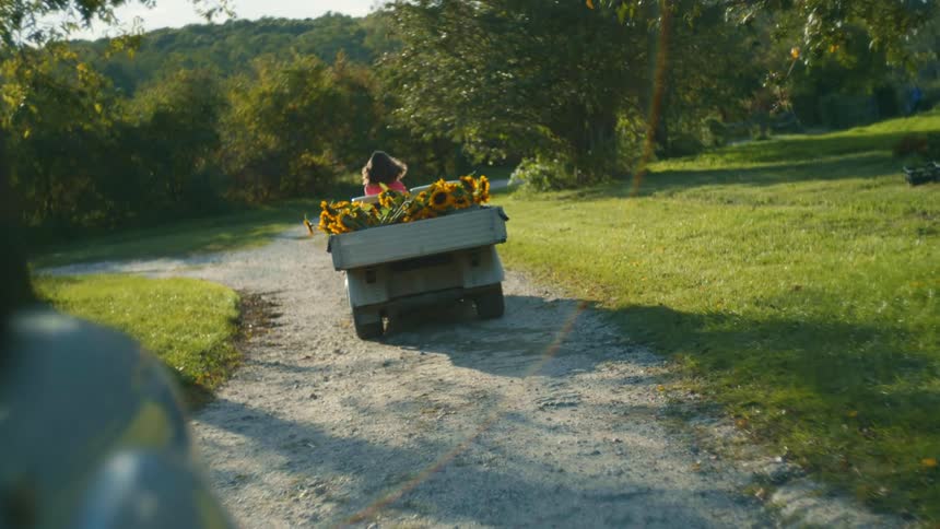 A woman drives a cart full of sunflowers down a gravel road