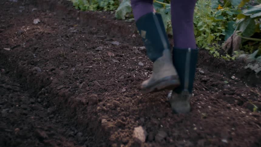 A woman sows seeds while walking through the soil of a farmland in boots