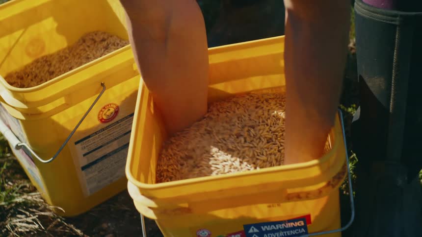 Woman mixing her hands around in a bucket of grains