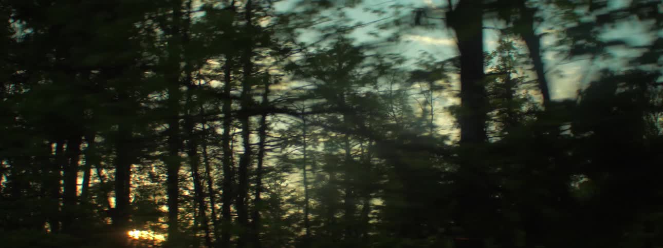 Trees are silhouetted against the sunset seen from a moving car