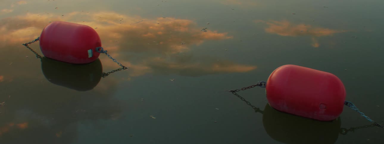 Red chained buoys on the surface of water with clouds reflecting on the water at dusk