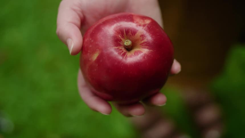 Woman holding an apple