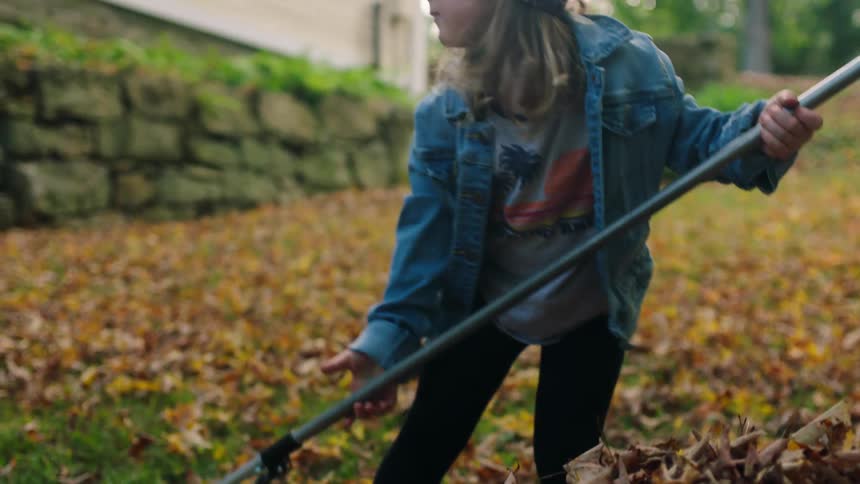 A young girl rakes leaves into a pile