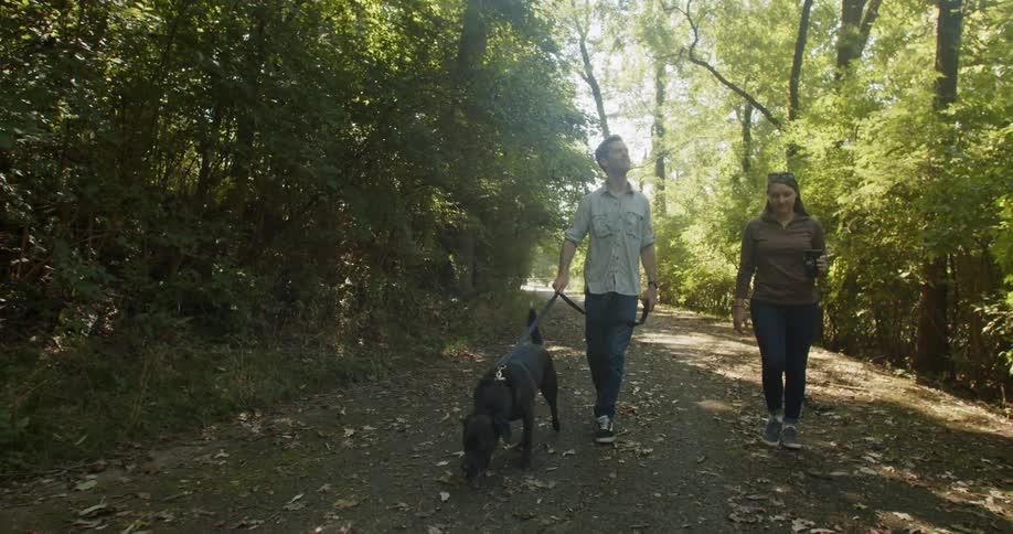 A man and a woman walk a dog on a leash in a forest