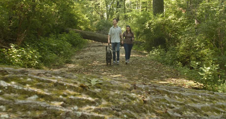 A man and woman walk through a forest with their dog