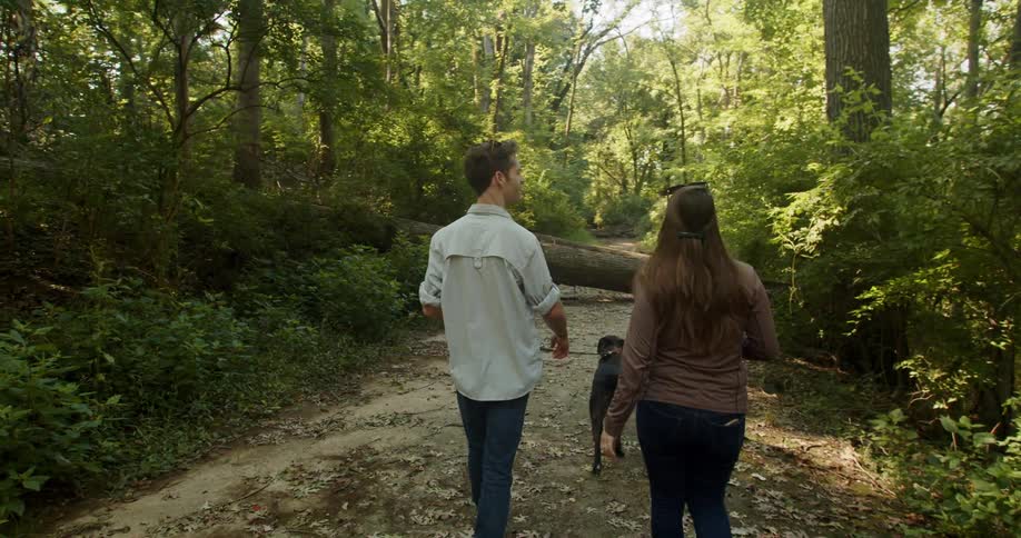 A male and a female walk a dog through a forest