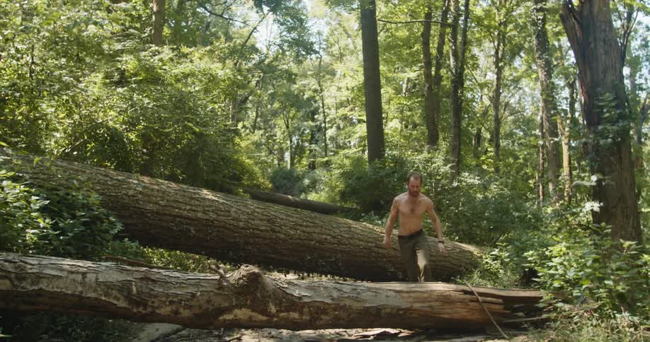 A man runs through a forest and over a tree trunk during the day