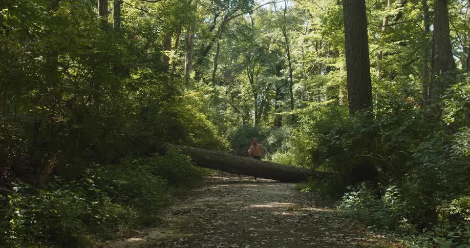 Man running on a forest pathway jumping over a fallen tree