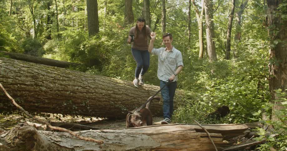 A man holds a womans hand as she climbs over a large tree down in the forest while they walk their dog